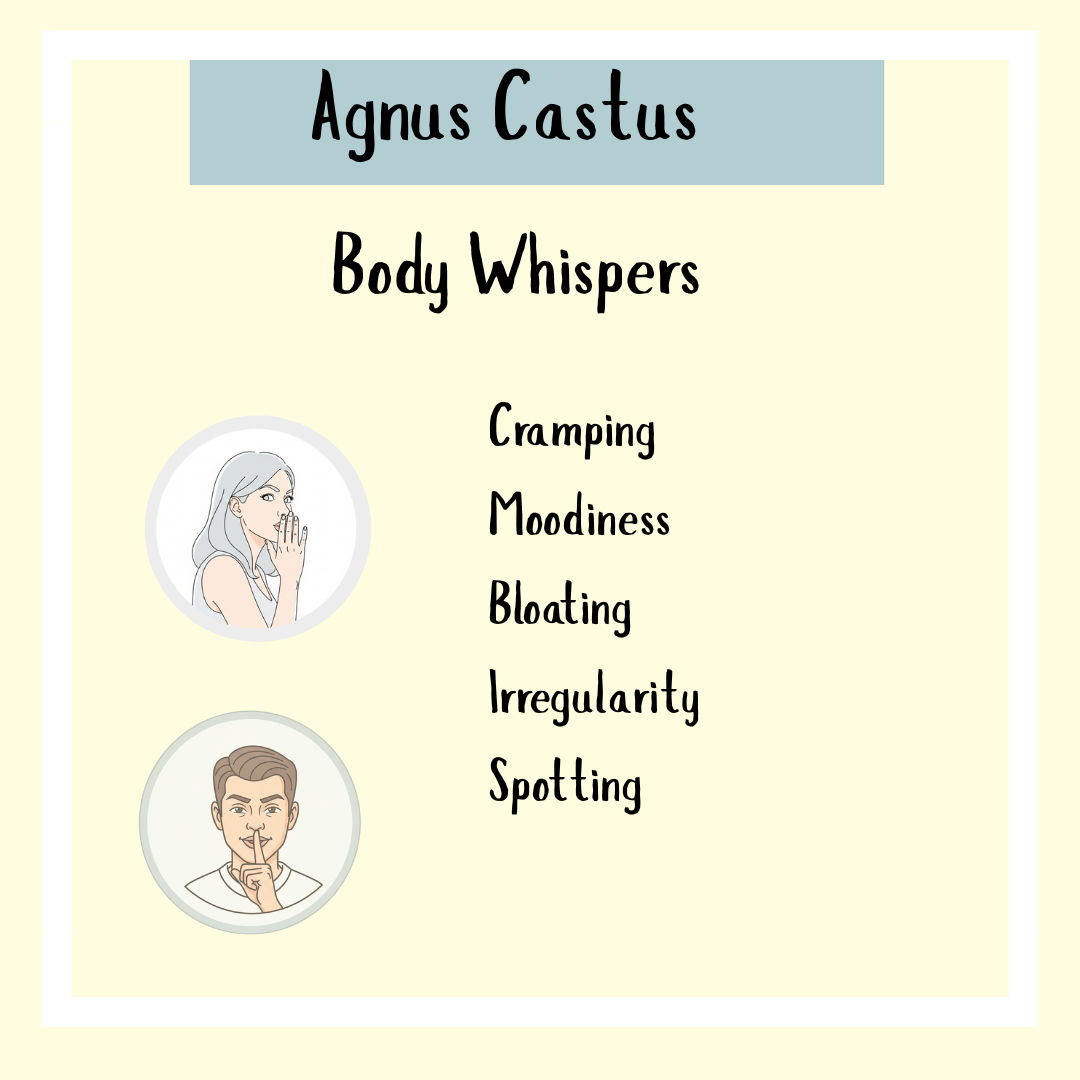 Agnus Castus tincture - 100ml helps ease cramping, moodiness, bloating, irregularity, and spotting—supporting female hormone balance and PMS relief.