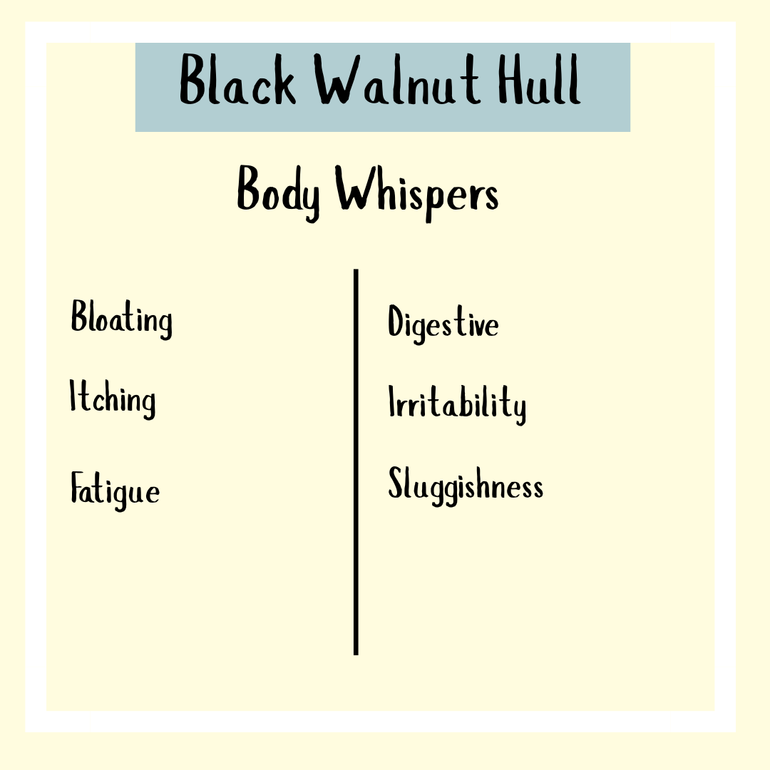 Black Walnut tincture - 100ml may help with bloating, itching, fatigue, digestive issues, irritability, and sluggishness. Supports digestive health and is valued for use in parasite cleanse routines.