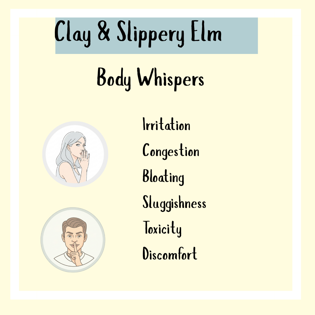 Clay & Slippery Elm Powder: illustrated list of symptoms like irritation, congestion, and bloating. Supports gastrointestinal tract health and acts as a colon detox powder to help remove heavy metals.