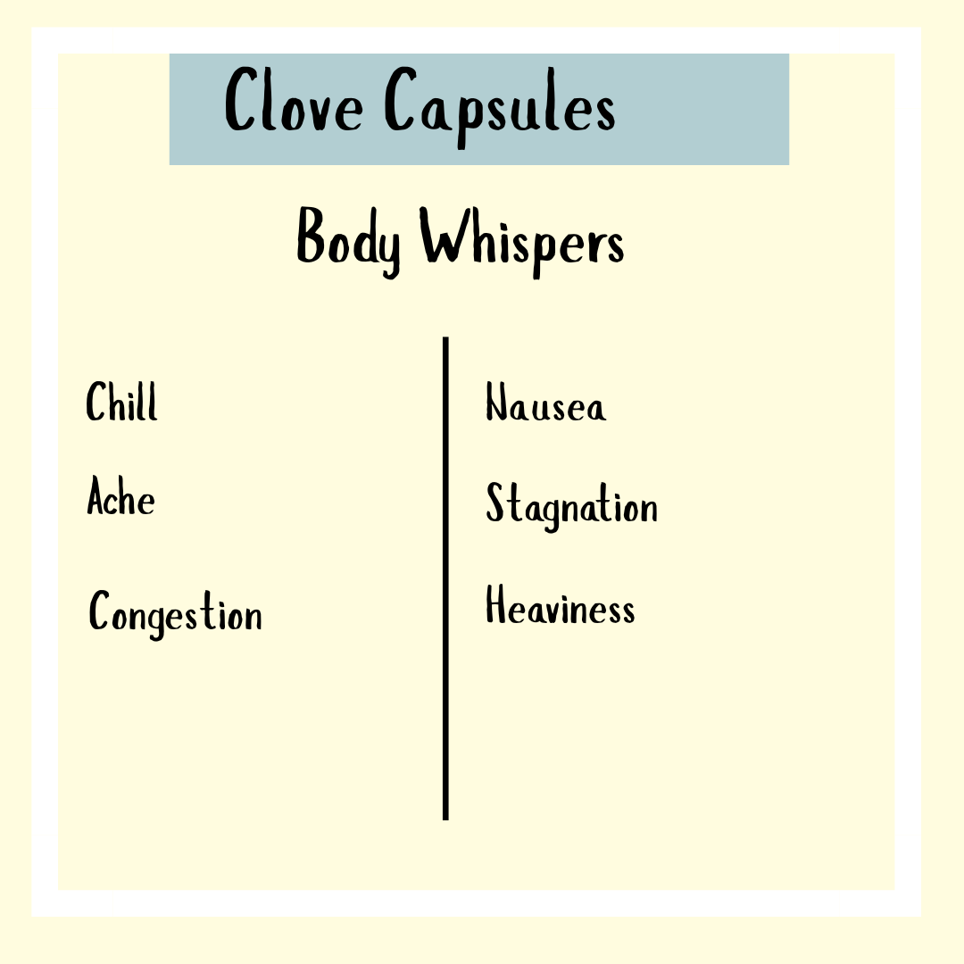 Clove - 120 capsules: Body Whispers. Left—Chill, Ache, Congestion. Right—Nausea, Stagnation, Heaviness. A potent antioxidant and perfect addition to your parasite cleanse routine.