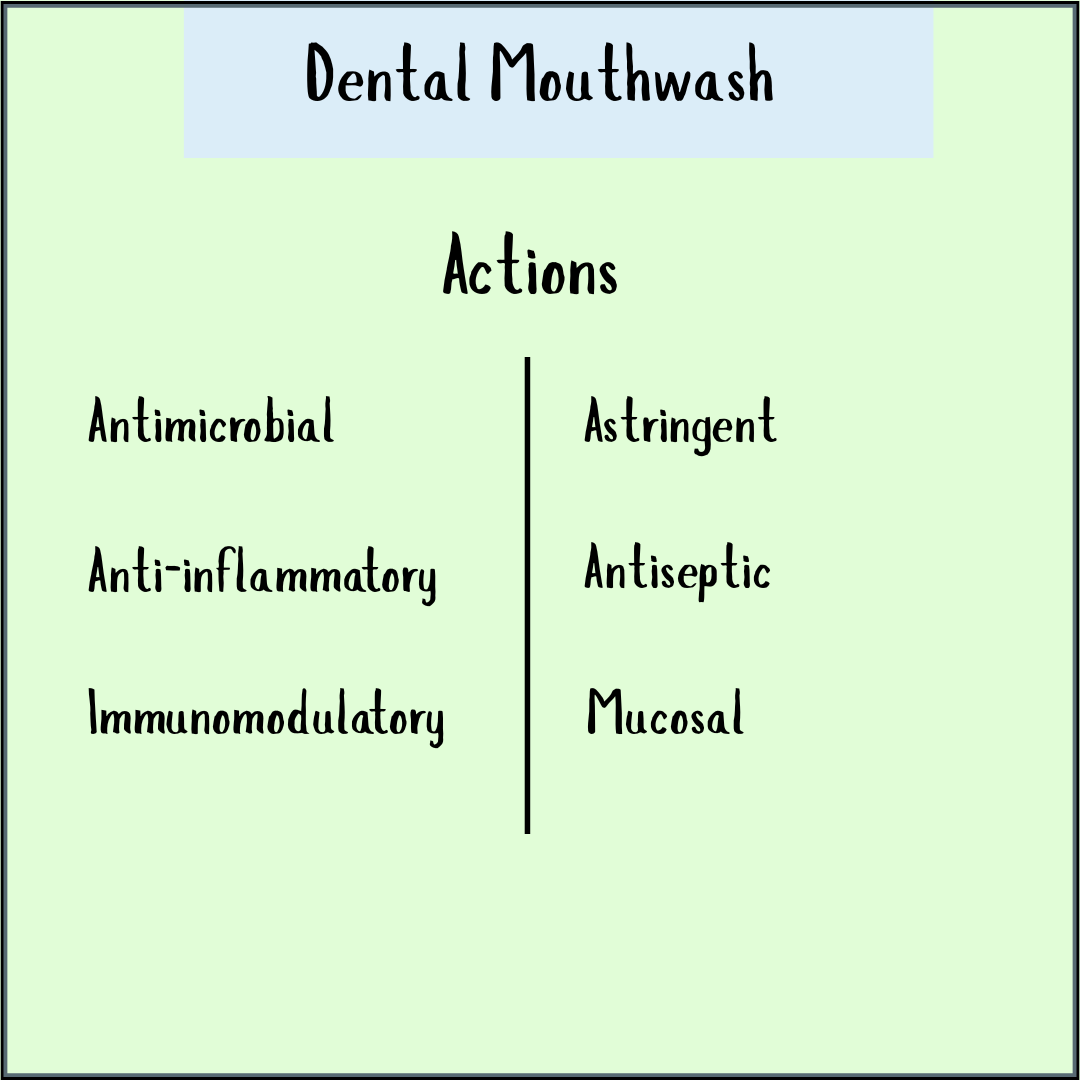 Chart listing benefits of Dental Mouthwash - 100 ml: antimicrobial, anti-inflammatory, immunomodulatory, astringent, antiseptic, and mucosal properties—showing its natural support for oral health.