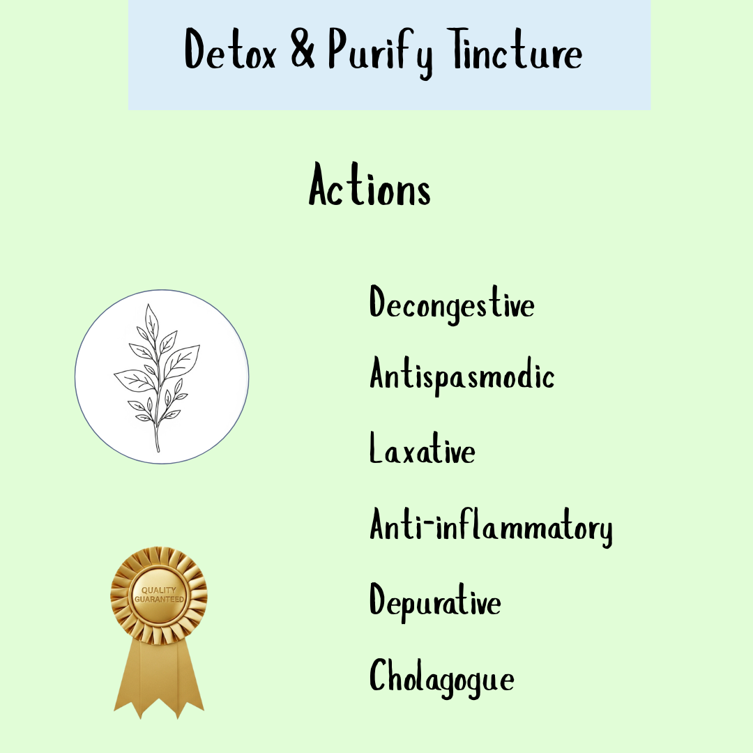 Text reads “Detox & Purify Formula - 200ml” with actions listed, emphasizing liver support, alongside plant and quality ribbon illustrations—ideal for your detox cleanse routine.