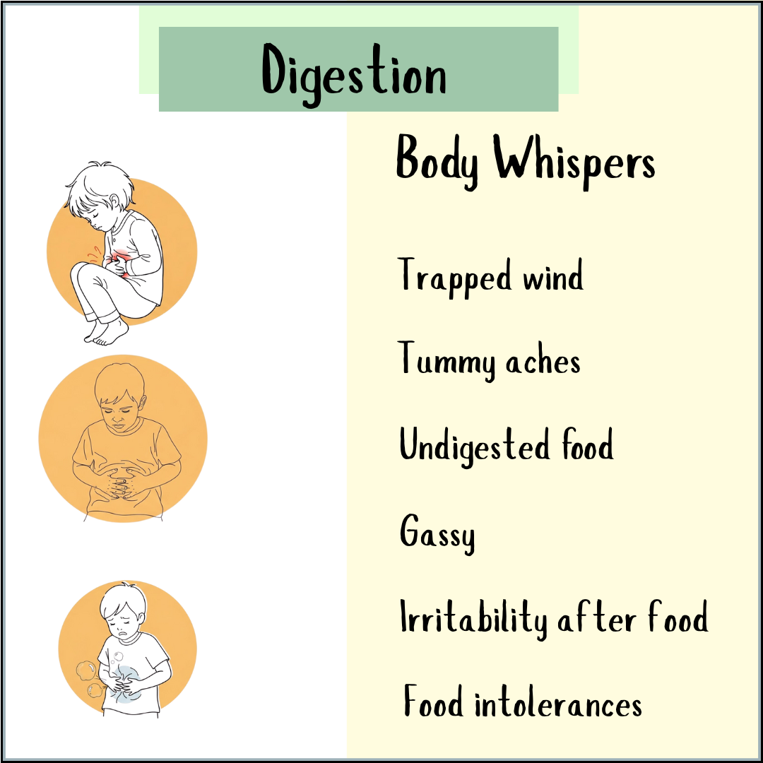 Digestive issues in children infographic