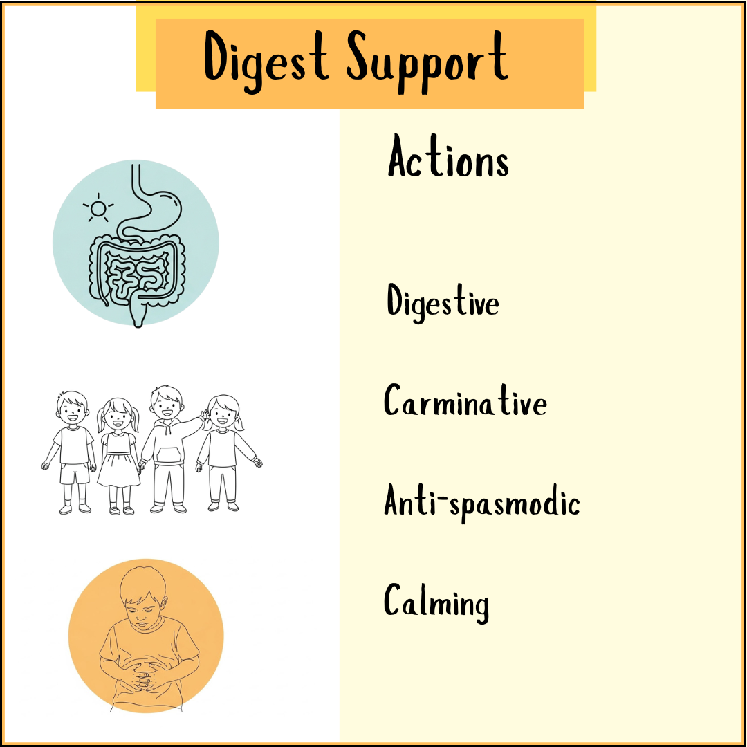 Digest support actions infographic