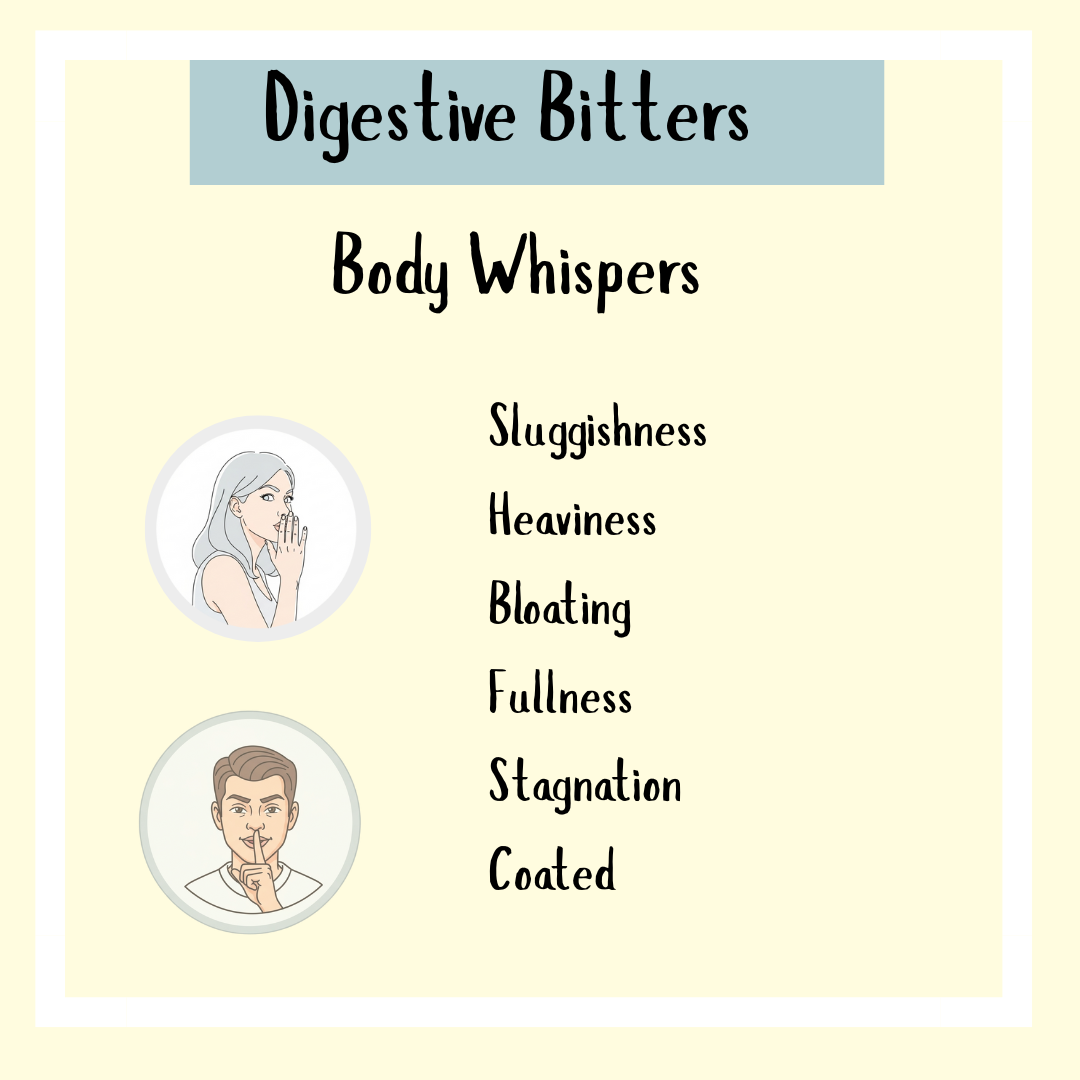 Digestive Bitters - 100ml: A classic bitter tonic for weak digestion—supports relief from sluggishness, heaviness, bloating, fullness, stagnation, and coated tongue.