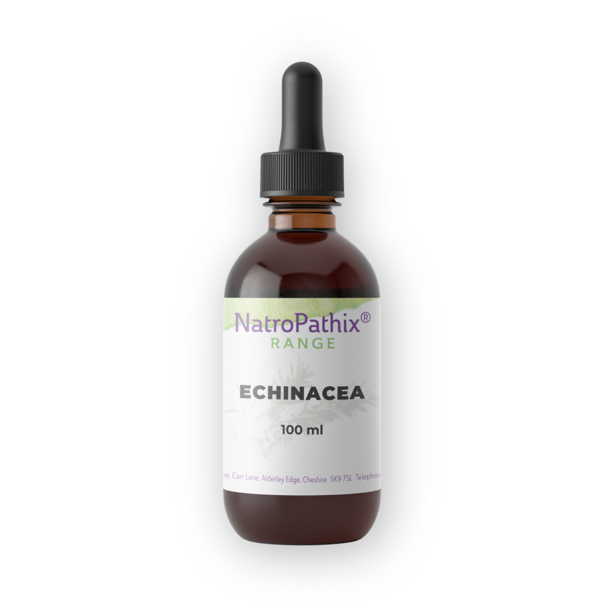 A brown glass dropper bottle labeled "Echinacea angustifolia - 100ml" on a white background, designed for immune system support.