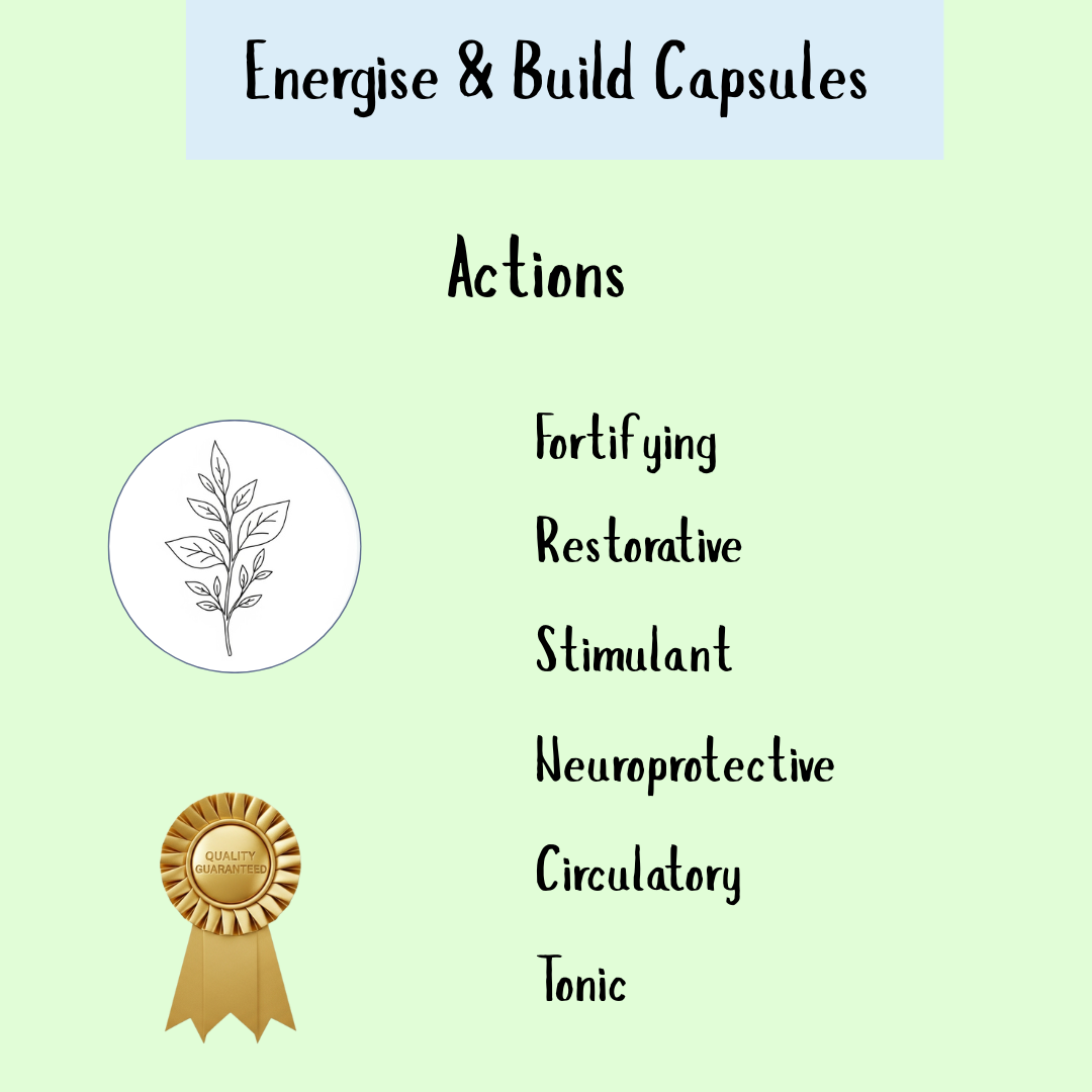 Energise & Build - 60 caps promotes healthy circulation, featuring its benefits alongside a plant illustration and a gold quality badge.