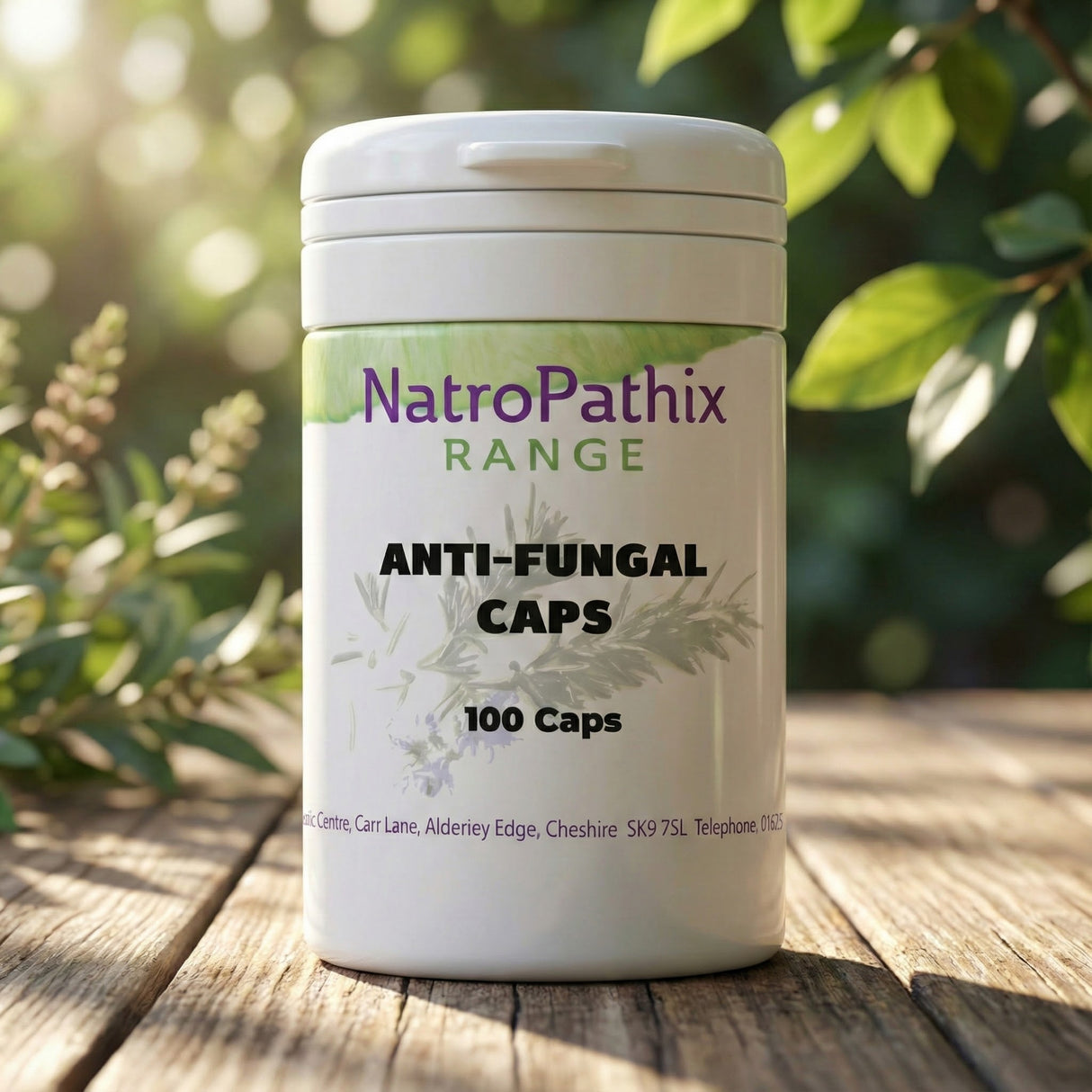 A bottle labeled "Anti-Fungal Compound - 100 Caps" rests on a wooden surface with greenery, emphasizing its support for candida overgrowth relief.