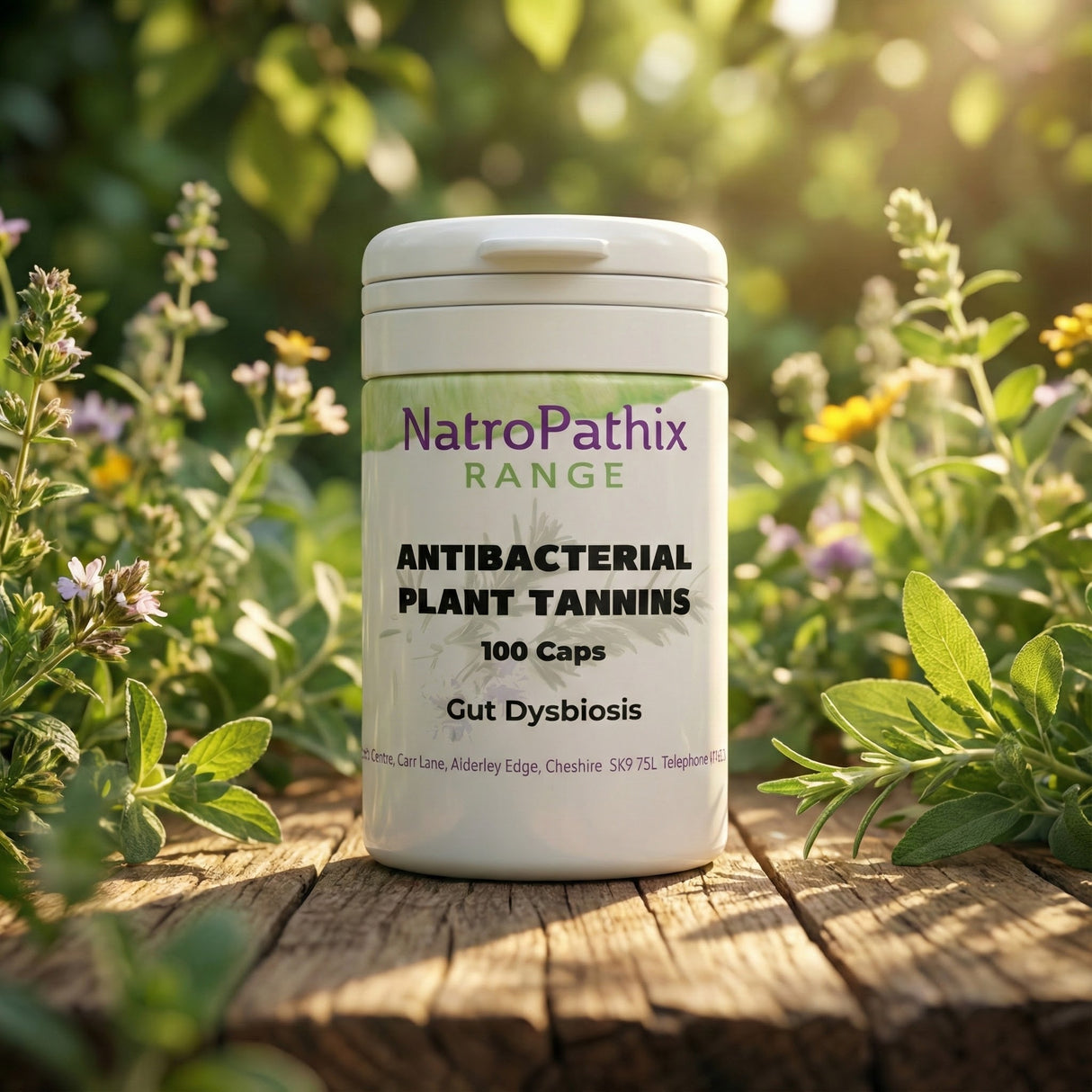 A bottle of Plant Tannins, Anti-bacterial - 100 veg caps sits on a wooden surface outdoors among plants, showcasing the antibacterial and astringent herbal benefits for your daily wellness routine.