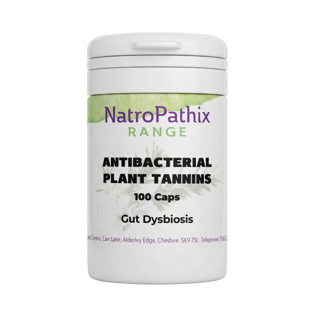 Plant Tannins, Anti-bacterial - 100 veg caps supports gut dysbiosis with antibacterial and astringent herbs, ideal for those seeking a natural parasite cleanse.