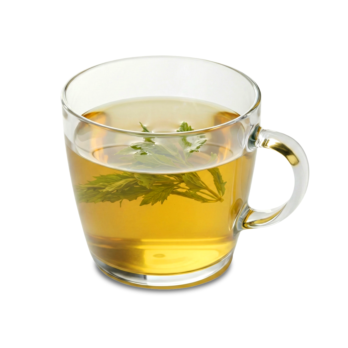 Birthing Tea - 100 gms: Clear glass mug filled with this pregnancy tea and green leaves floating inside, set against a plain white background—an ideal uterine tonic to help prepare for birth.