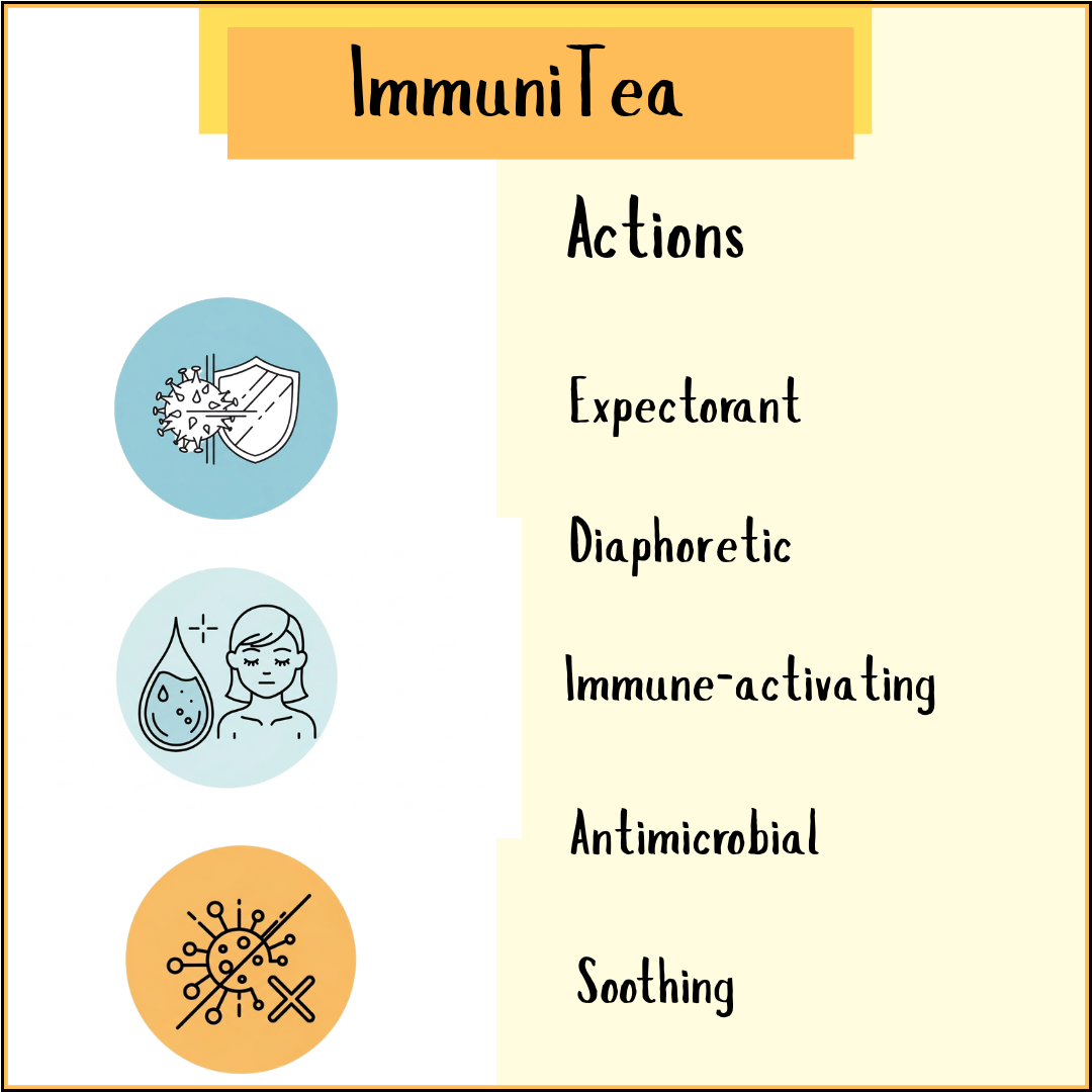 Infographic titled "ImmuniTea - 100gms" with icons showing its benefits: expectorant, diaphoretic, and immune system support—emphasizing this herbal tea's positive effects on respiratory health.