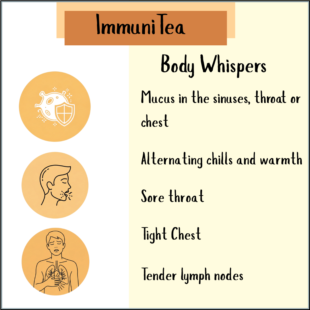 ImmuniTea - 100gms infographic features icons for virus, sore throat, and chest pain, showcasing how this herbal tea supports the immune system and promotes respiratory health.