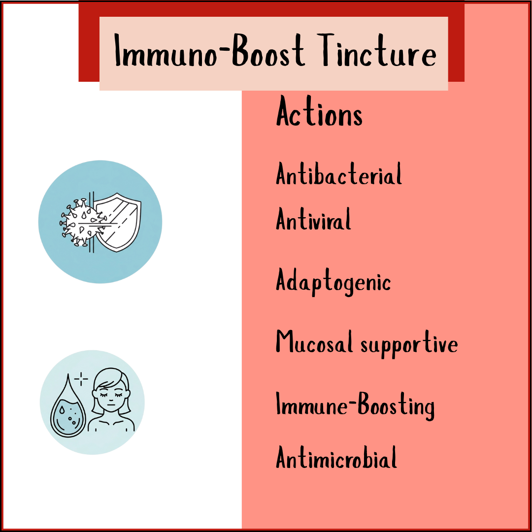 Infographic showcases Immuno-Boost Tincture - 50ml, emphasizing its immune support and antibacterial benefits, with echinacea as a key ingredient.