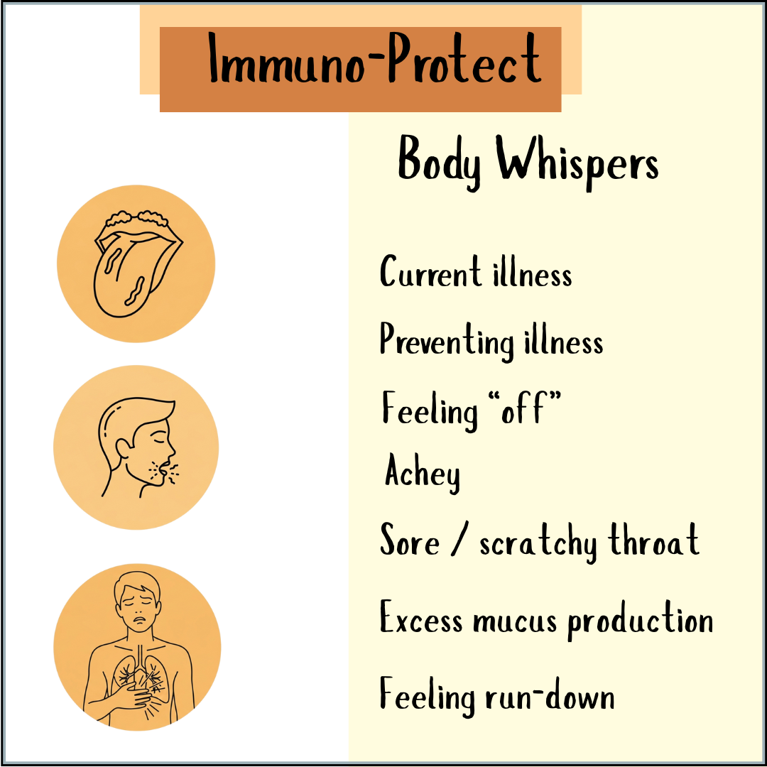 Infographic titled "Immune Protect Tincture - 200/300ml" lists symptoms—illness, ache, sore throat, mucus, run-down feeling—and natural immune tips like echinacea or elderberry to help you feel your best.