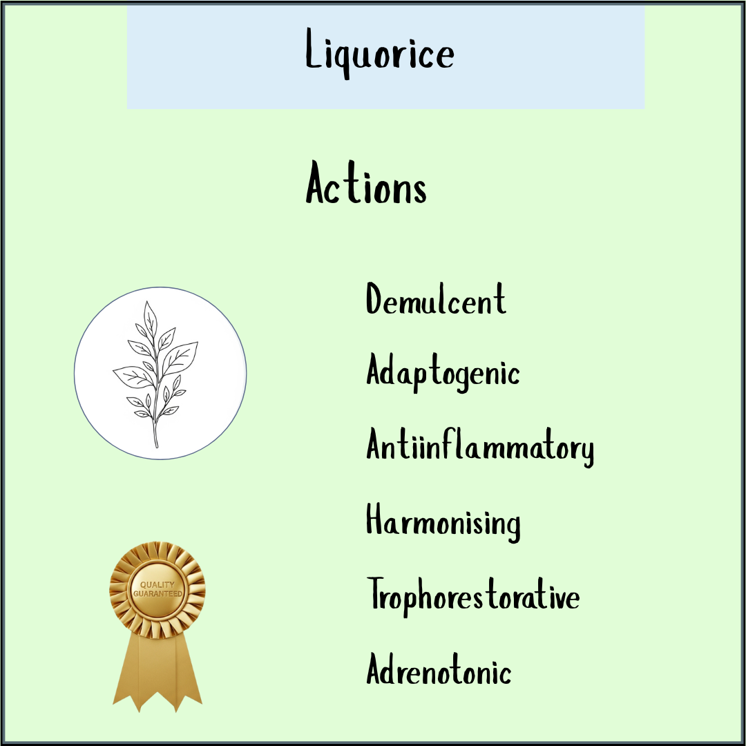 Green infographic titled "Echinacea angustifolia - 100ml" showcases its immune system support and anti-inflammatory benefits, featuring a leaf illustration and a gold quality badge.