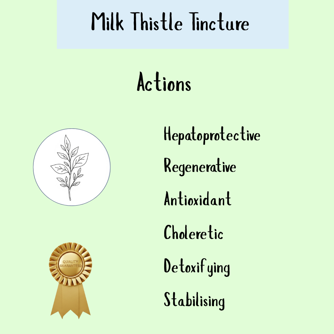 Milk Thistle Tincture is featured as a natural hangover remedy and supports liver detox. The design includes a leaf sketch and gold quality ribbon on a light green background, highlighting its benefits.