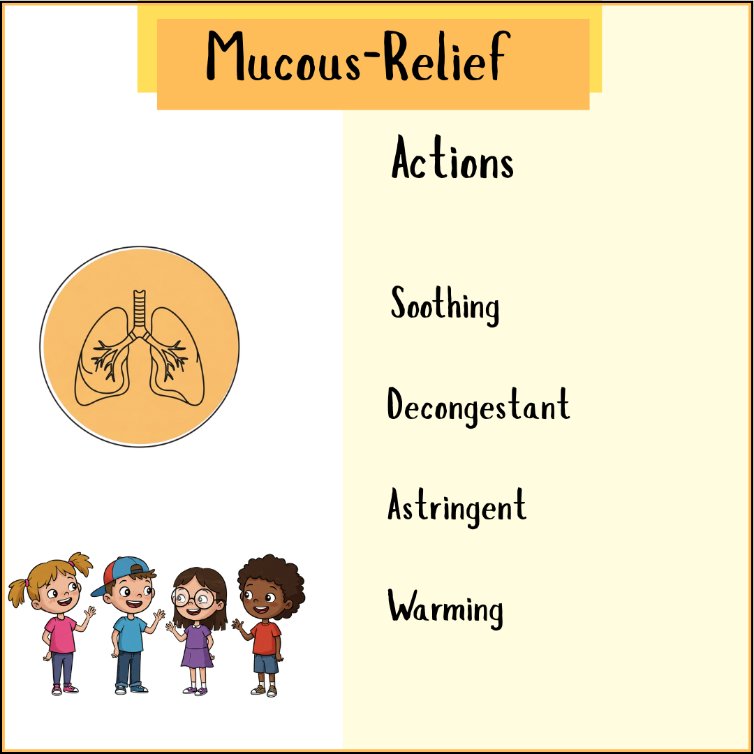 Kids Mucous Relief tincture benefits illustration