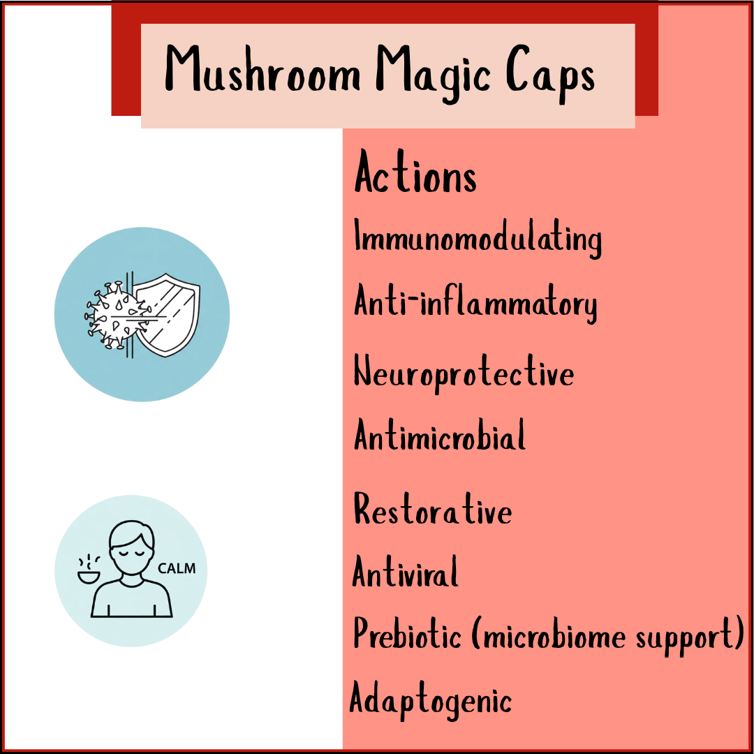 Infographic titled "Mushroom Magic - 100 Medicinal Caps" highlights health benefits of medicinal mushrooms, featuring icons for immune support, gut health, and relaxation.