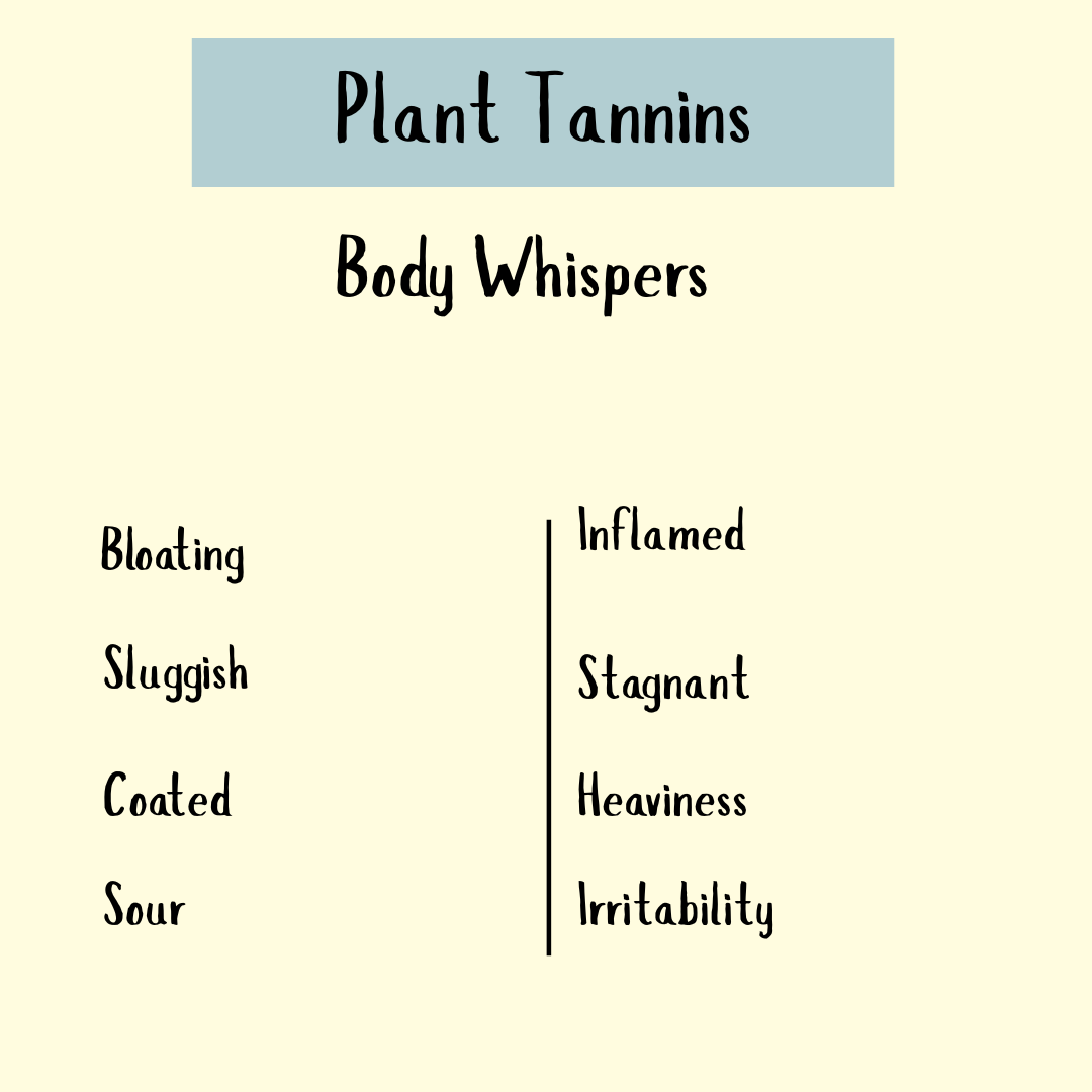 Plant Tannins, Anti-bacterial - 100 veg caps. Bloating, sluggishness, sourness, or inflammation may signal the need for astringent or antibacterial herbs; stagnant energy could also suggest parasites.