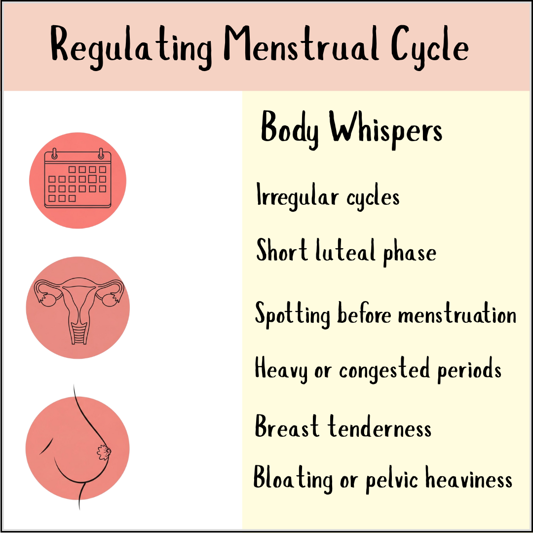 Infographic on menstrual cycle regulation: symptoms like irregular cycles, spotting, breast tenderness, plus tips for hormonal balance with Regulating Cycle Combination female tonic.