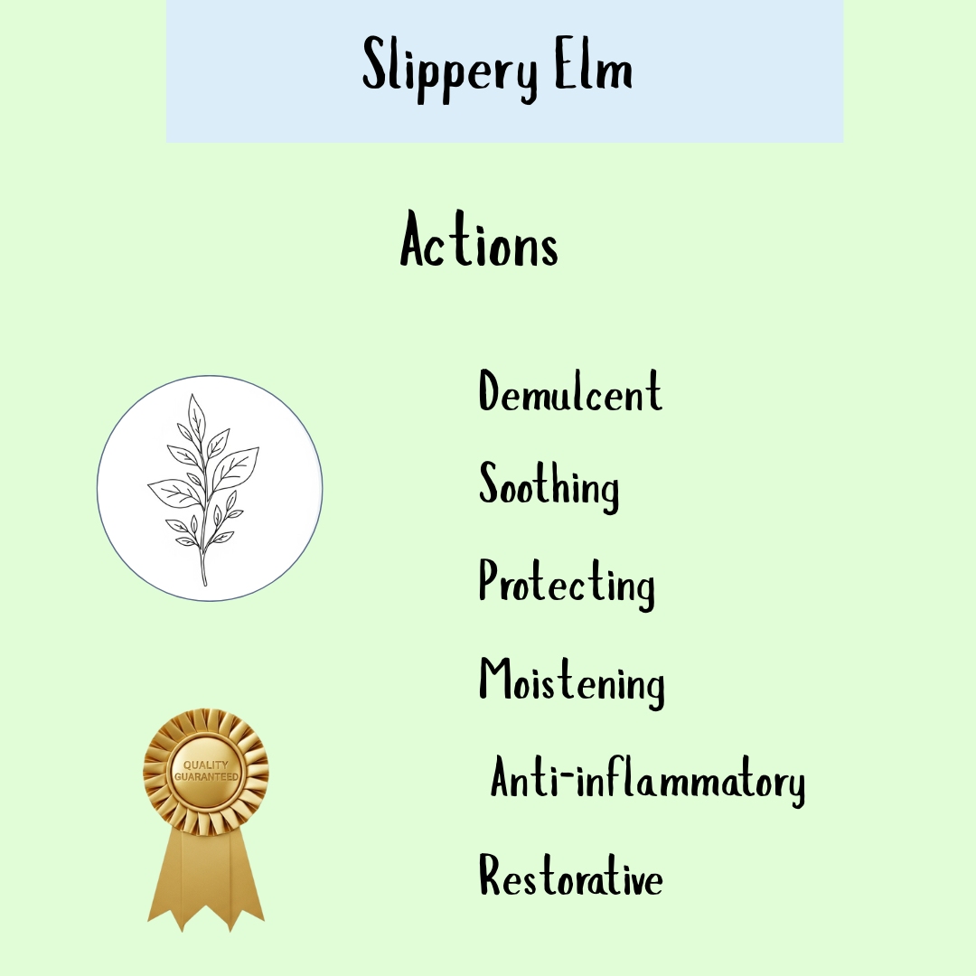 Slippery Elm Powder - 100 gms provides soothing throat relief and digestive support with its demulcent, protective, moistening, anti-inflammatory, and restorative properties.