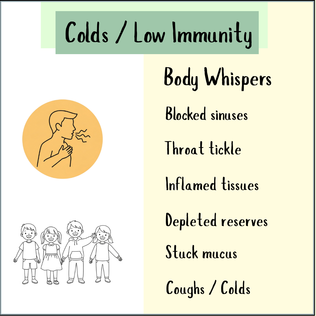 Colds and low immunity infographic