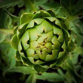 Artichoke