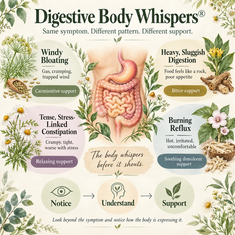 What Your Bloating Is Trying to Tell You: Why the Same Digestive Symptom Can Mean Different Things