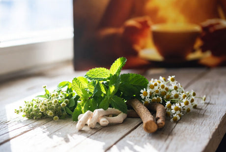 Fresh peppermint leaves, chamomile flowers, marshmallow root, and slippery elm bark arranged on a wooden table – natural ingredients for digestive health and wellness