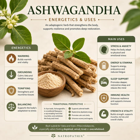 Before You Reach for Ashwagandha: What Your Body Is Really Trying to Tell You