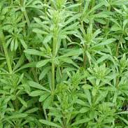 Cleavers