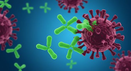 3D illustration of green antibodies attacking a purple virus particle on a blue background.