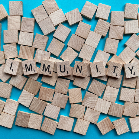 Wooden letter tiles spell "IMMUNITY" on a blue background, surrounded by blank square tiles.
