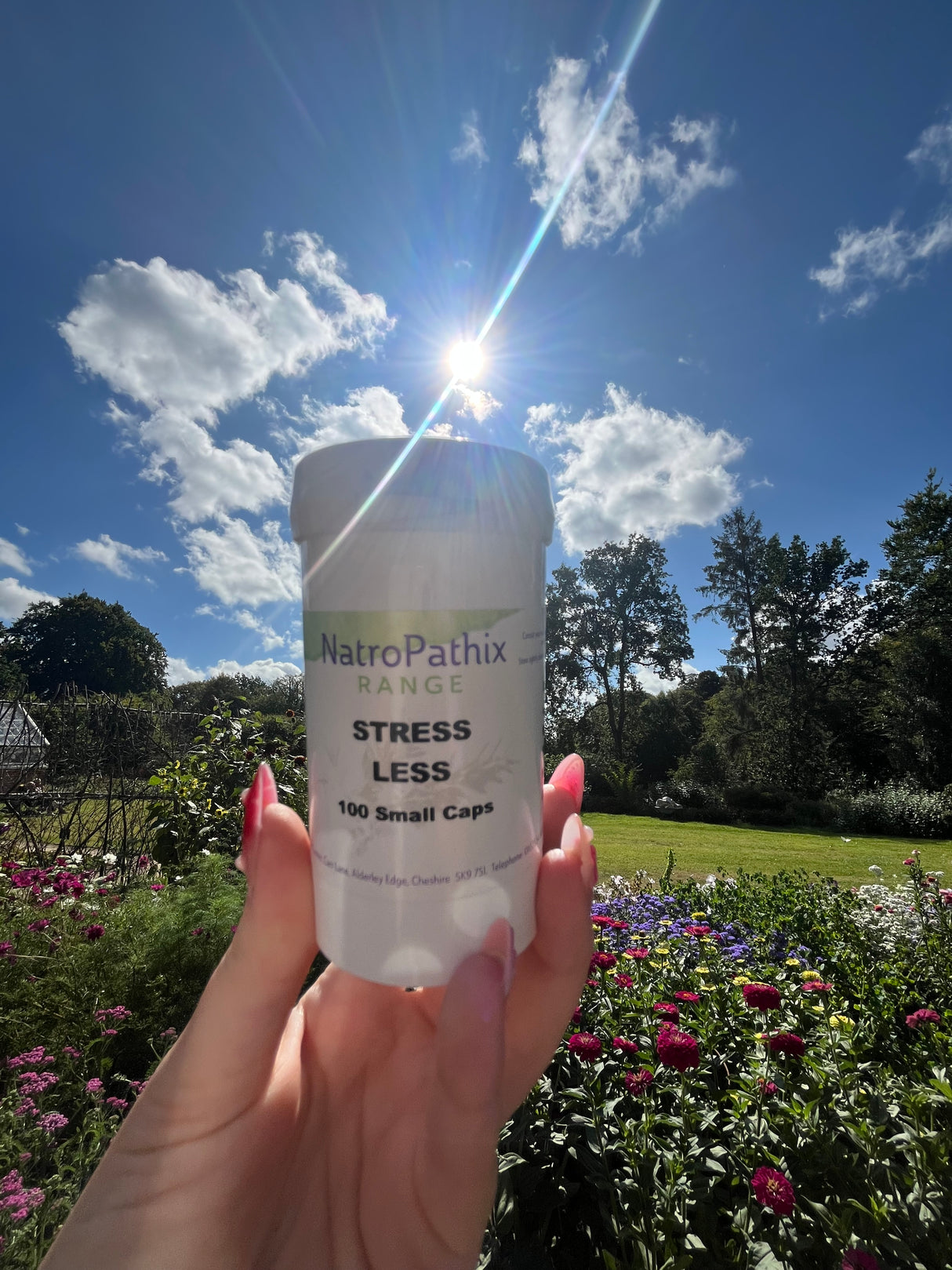 Stress-Less 100 capsules