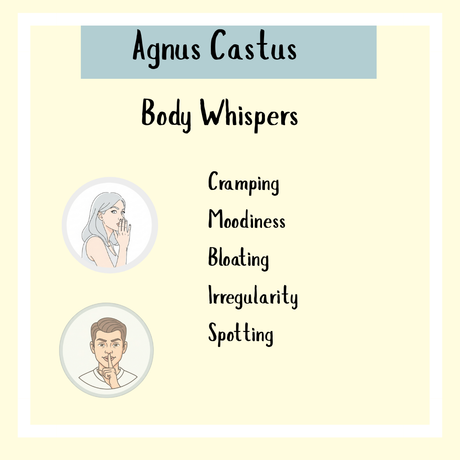 Agnus Castus tincture - 100ml helps ease cramping, moodiness, bloating, irregularity, and spotting—supporting female hormone balance and PMS relief.