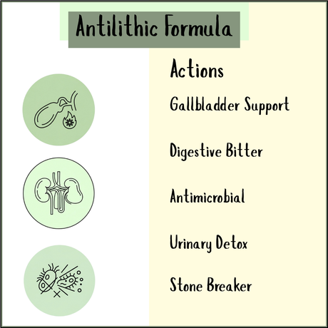 Gallbladder Antilithic Tincture (200/300ml): supports gallbladder, promotes bile flow, acts as a digestive bitter, offers antimicrobial and urinary detox benefits, and serves as a stone breaker.