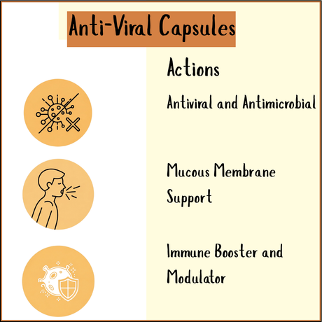 Infographic about Anti-Viral Herbs - 150 Capsules, highlighting its anti-viral, antimicrobial properties, support for mucous membranes, and immune system boosting benefits.