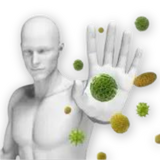 Anti-Viral Herbs - 150 Capsules
