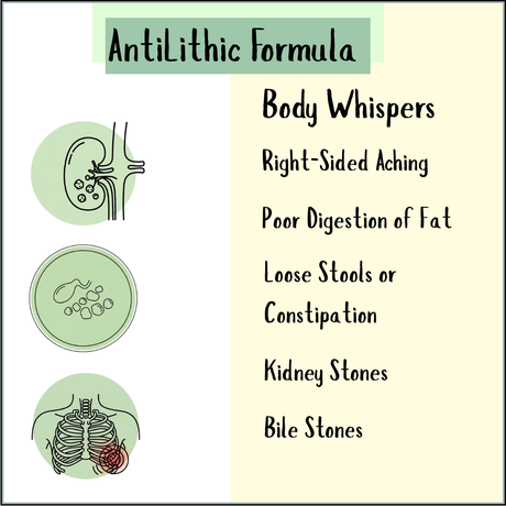 Gallbladder Antilithic Tincture - 200/300ml supports the gallbladder and may help with aching, poor fat digestion, loose stools, stones, constipation, and bile flow issues.