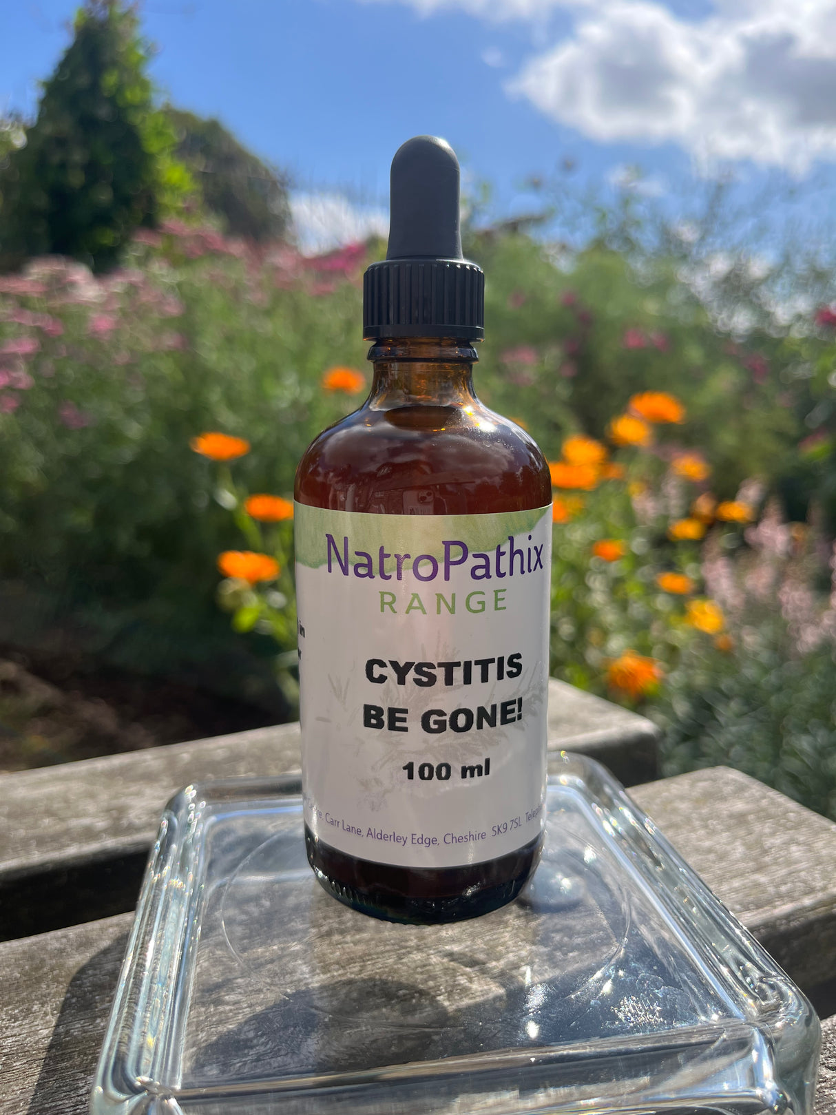 Cystitis-Be-Gone   100ml Tincture