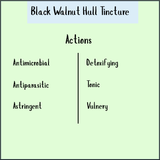A chart of Black Walnut tincture - 100ml highlights its antimicrobial, detoxifying, and tonic properties, supporting digestive health—making it a natural option for those seeking a parasite cleanse.