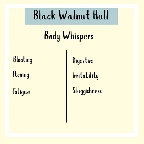 Black Walnut tincture - 100ml may help with bloating, itching, fatigue, digestive issues, irritability, and sluggishness. Supports digestive health and is valued for use in parasite cleanse routines.