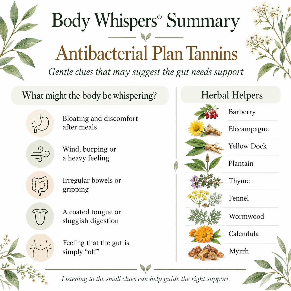 Plant Tannins, Anti-bacterial - 100 veg caps