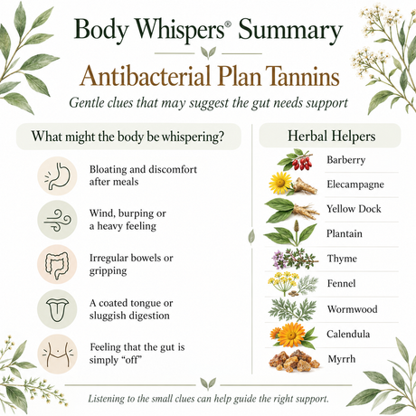 Plant Tannins, Anti-bacterial - 100 veg caps