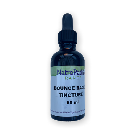 Dark glass bottle labeled "Bounce Back Kit - Get Well Faster!" with dropper cap, formulated as an immune booster and antiviral tincture to support recovery and overall wellness. 50 ml size.
