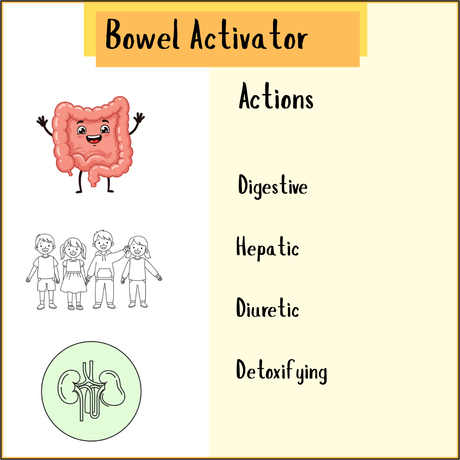 Bowel Activator actions illustration