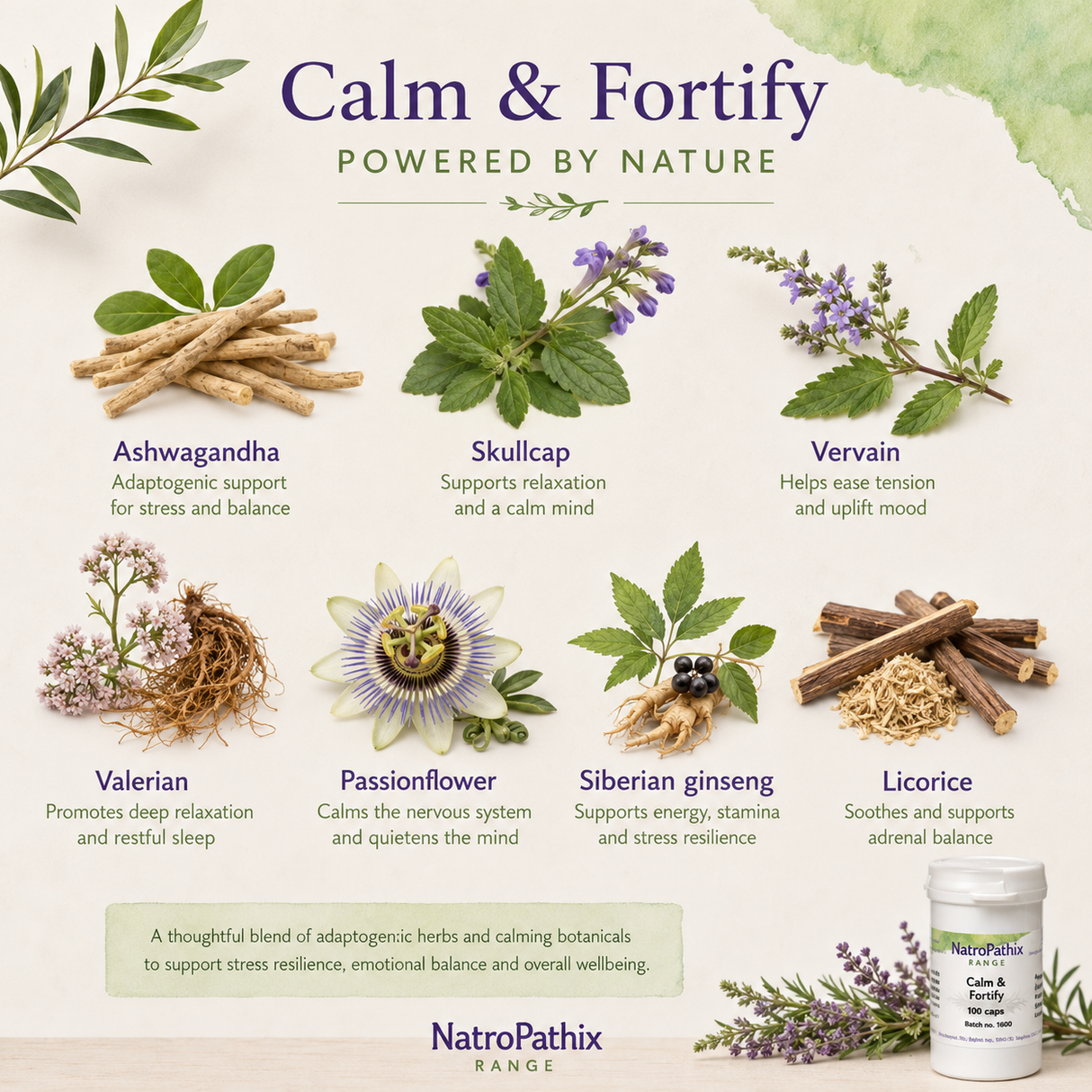 Calm & Fortify Capsules