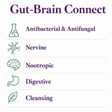 Gut-Brain Connect - 100 veg caps