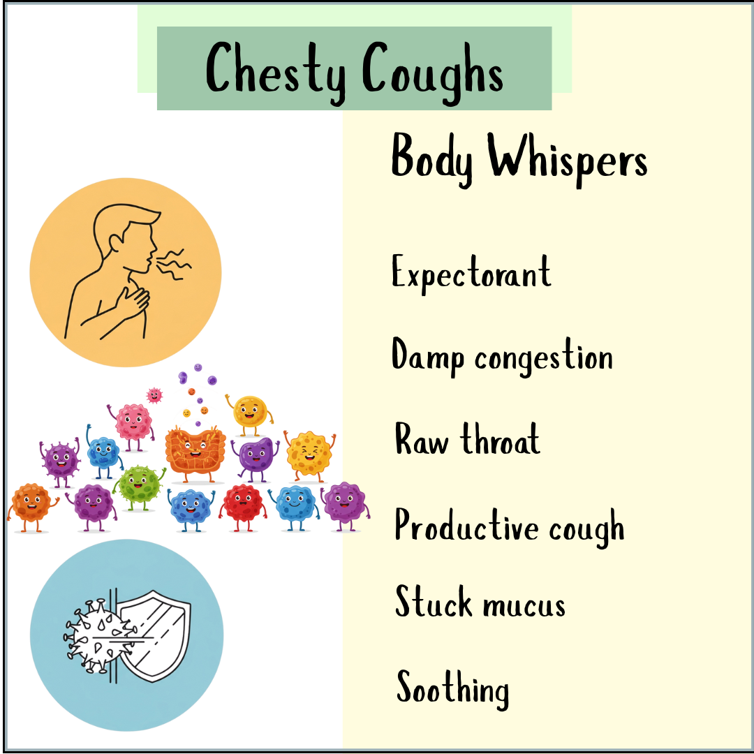 Chesty Coughs infographic with cartoon characters
